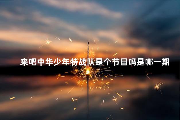 来吧中华少年特战队是个节目吗是哪一期 少年特战队真的存在吗